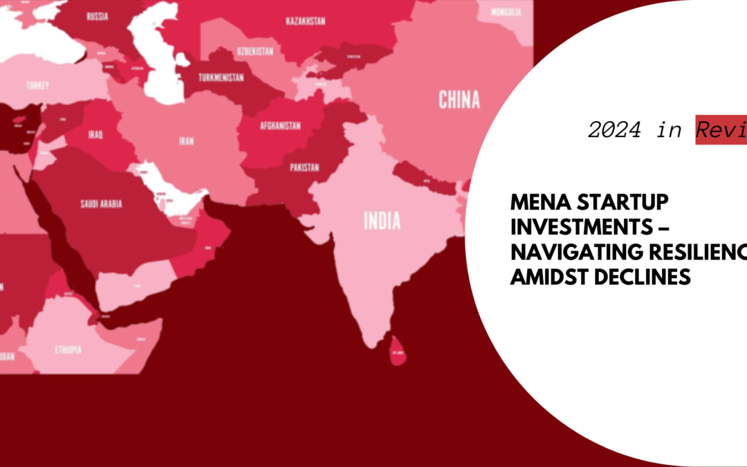 2024 in Review: MENA Startup Investments – Navigating Resilience Amidst Declines